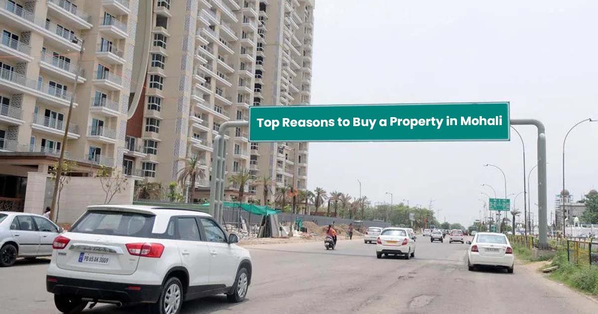 Top Reasons to Buy a Property in Mohali
